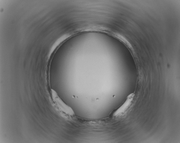 X0000077401138200611101813