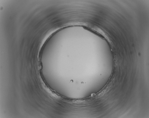 X0000077401140200611101813