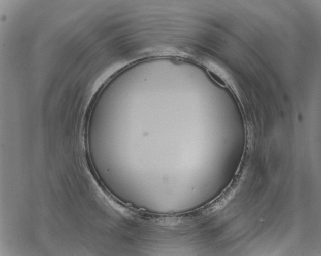 X0000077401141200611101813