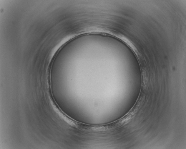 X0000077401142200611101813