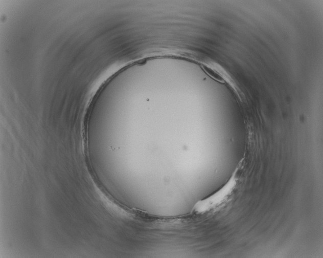 X0000077401143200611101813