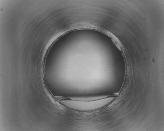 X0000077401144200611101813