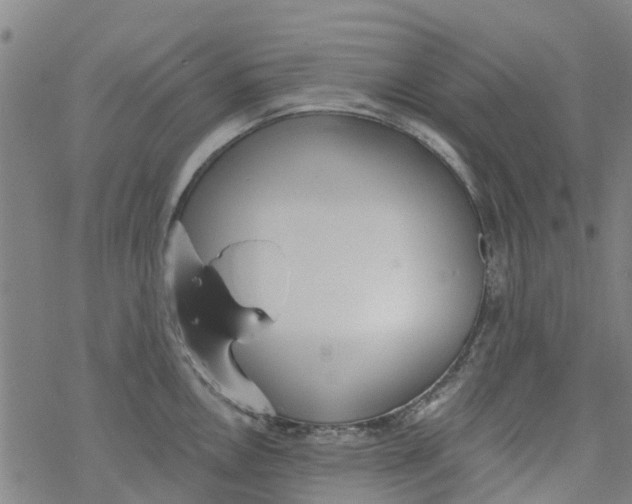 X0000077401146200611101813