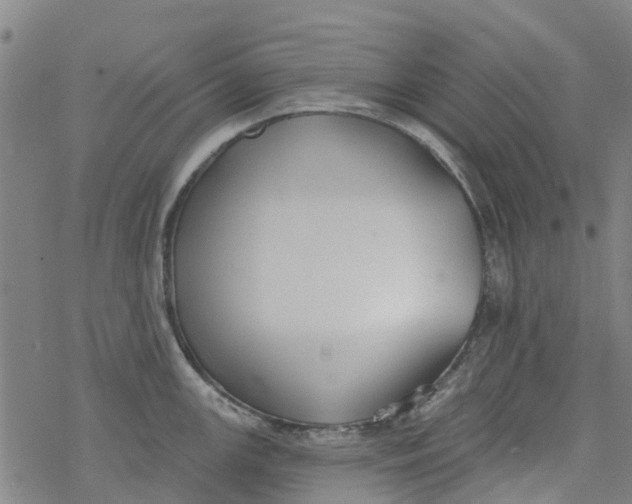 X0000077401147200611101813