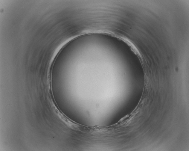 X0000077401148200611101814