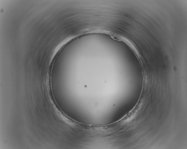 X0000077401149200611101814