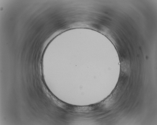 X0000077401150200611101814