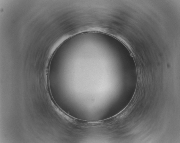 X0000077401151200611101814