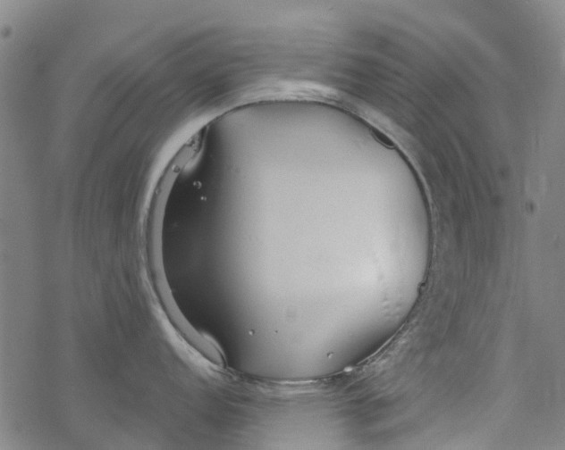 X0000077401152200611101814