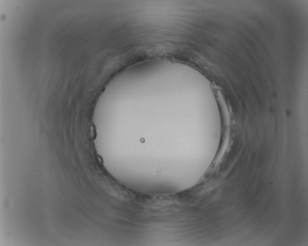 X0000077401153200611101813