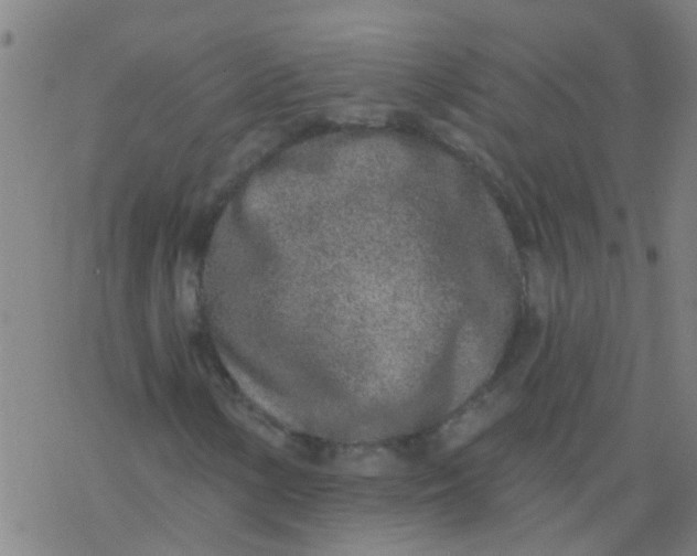 X0000077401154200611101813