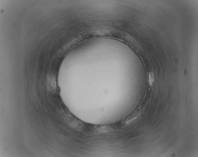 X0000077401155200611101813