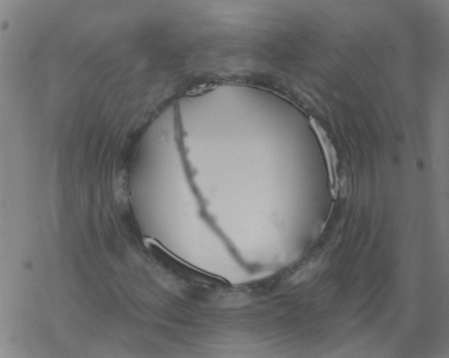 X0000077401156200611101813