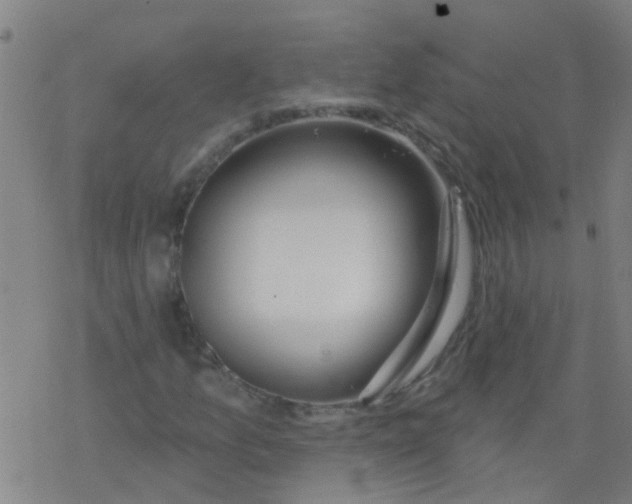 X0000077401157200611101813