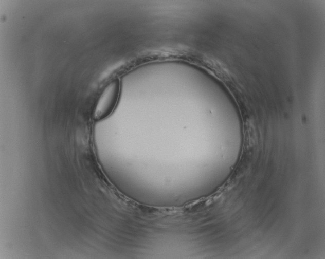 X0000077401158200611101813