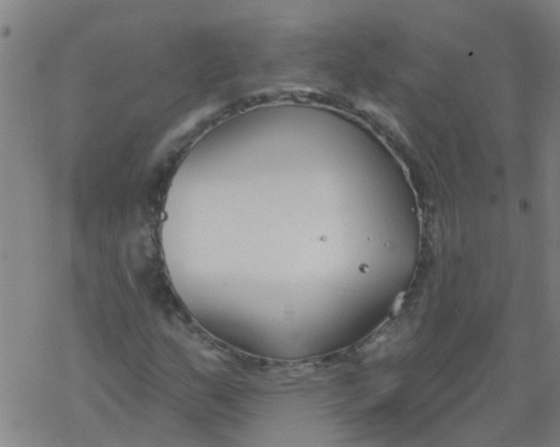 X0000077401159200611101813