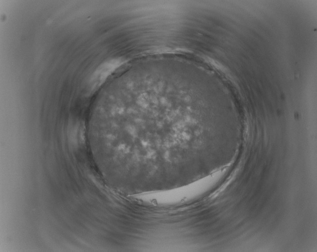 X0000077401161200611101813