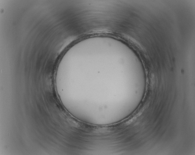 X0000077401162200611101813