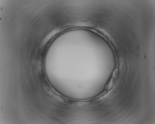 X0000077401163200611101813