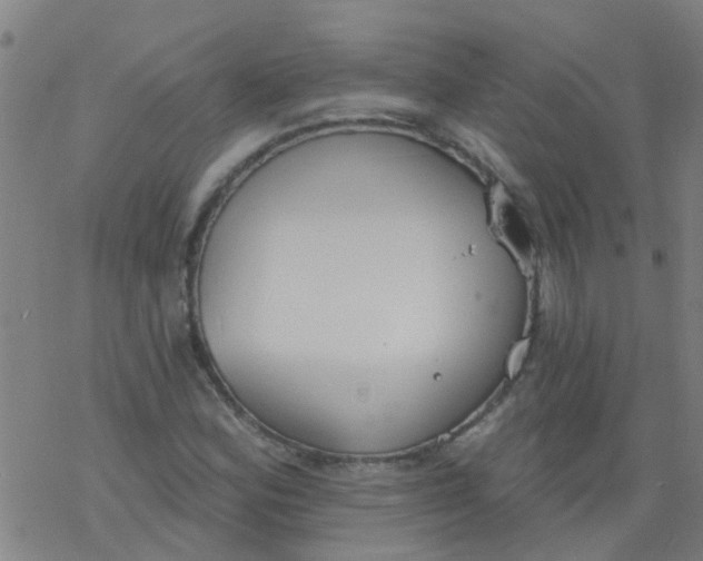 X0000077401164200611101813