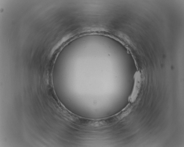 X0000077401165200611101813