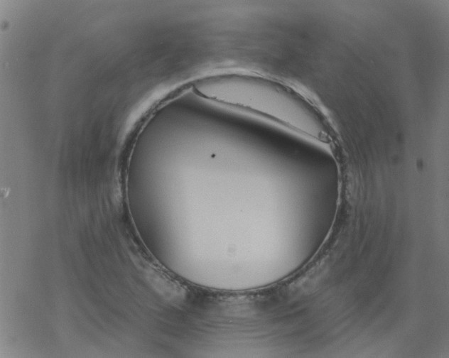 X0000077401167200611101813