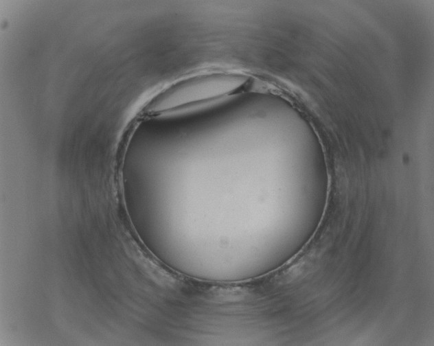 X0000077401168200611101813