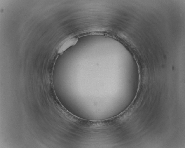 X0000077401169200611101813