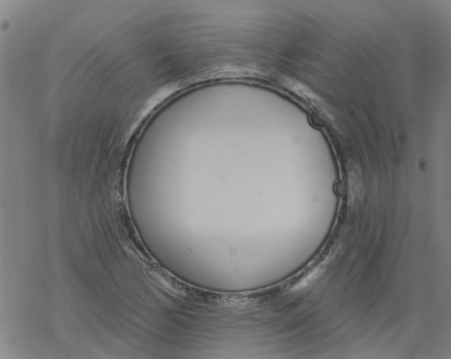 X0000077401170200611101813