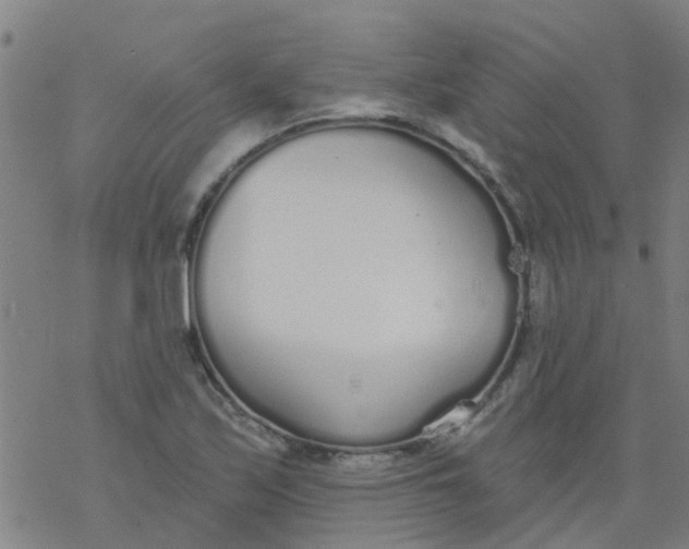 X0000077401171200611101812