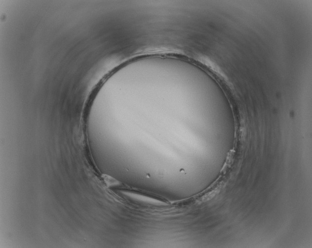 X0000077401173200611101812