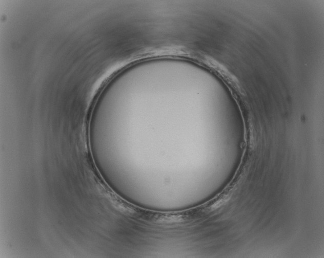 X0000077401174200611101812