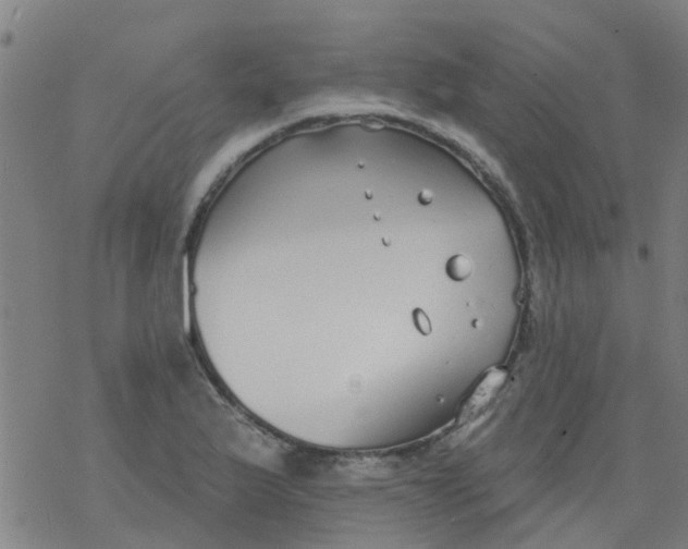 X0000077401175200611101812