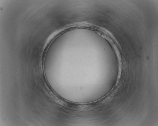 X0000077401176200611101812