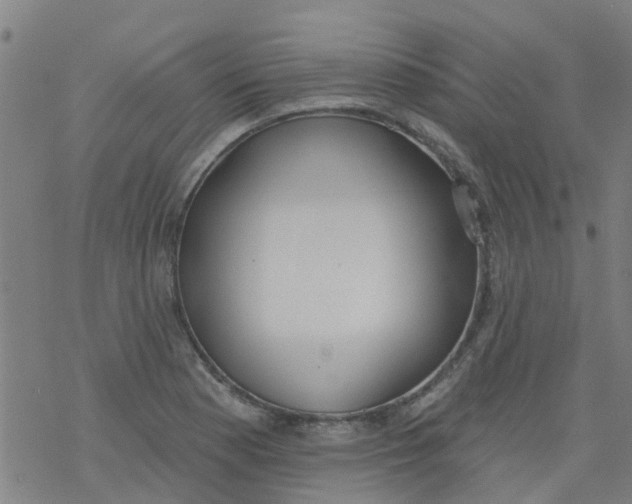 X0000077401177200611101812