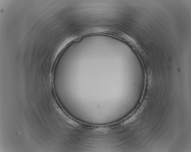 X0000077401178200611101812