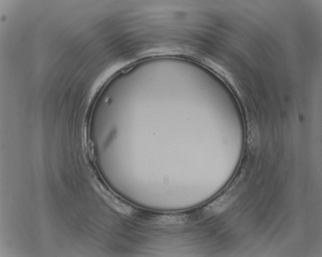 X0000077401179200611101812