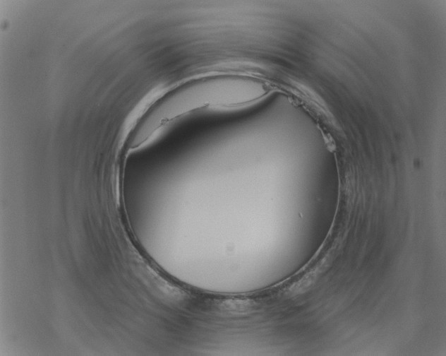 X0000077401180200611101812