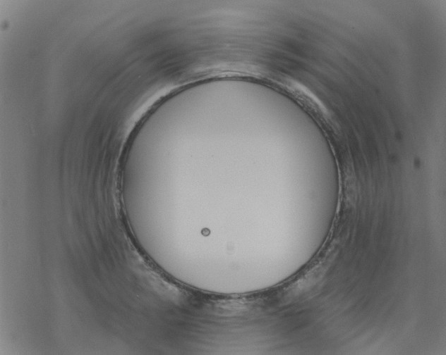 X0000077401182200611101812