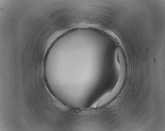 X0000077401183200611101812