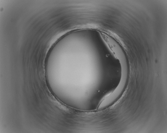 X0000077401184200611101812