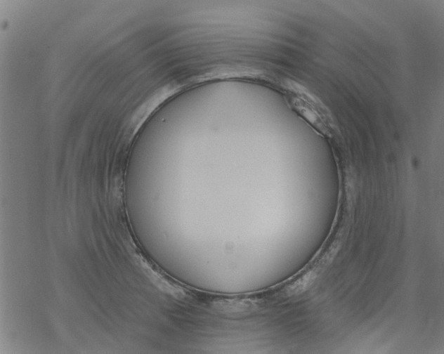 X0000077401185200611101812