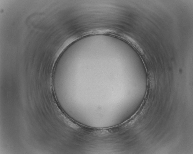 X0000077401186200611101812