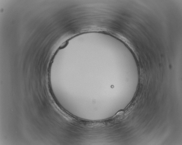 X0000077401187200611101812