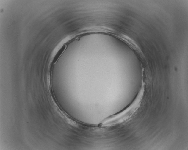 X0000077401188200611101812