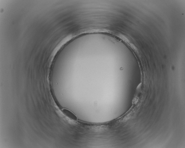 X0000077401189200611101812