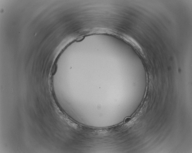 X0000077401190200611101812