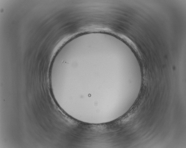 X0000077401191200611101812