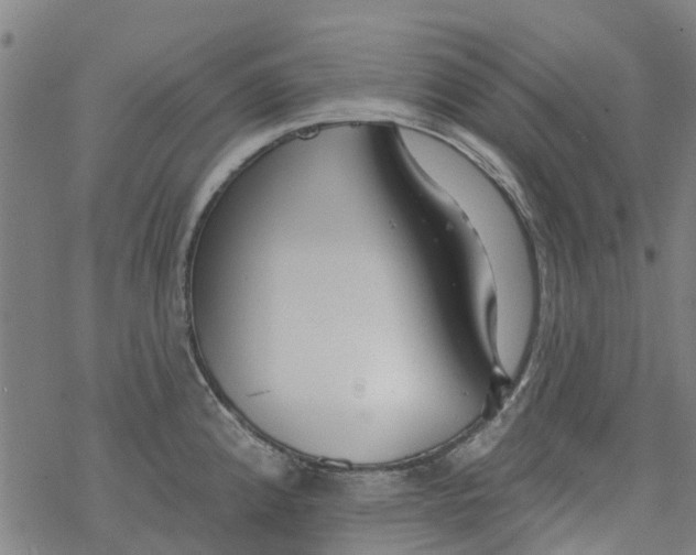 X0000077401192200611101812