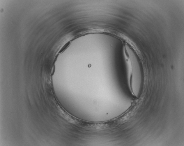 X0000077401193200611101812